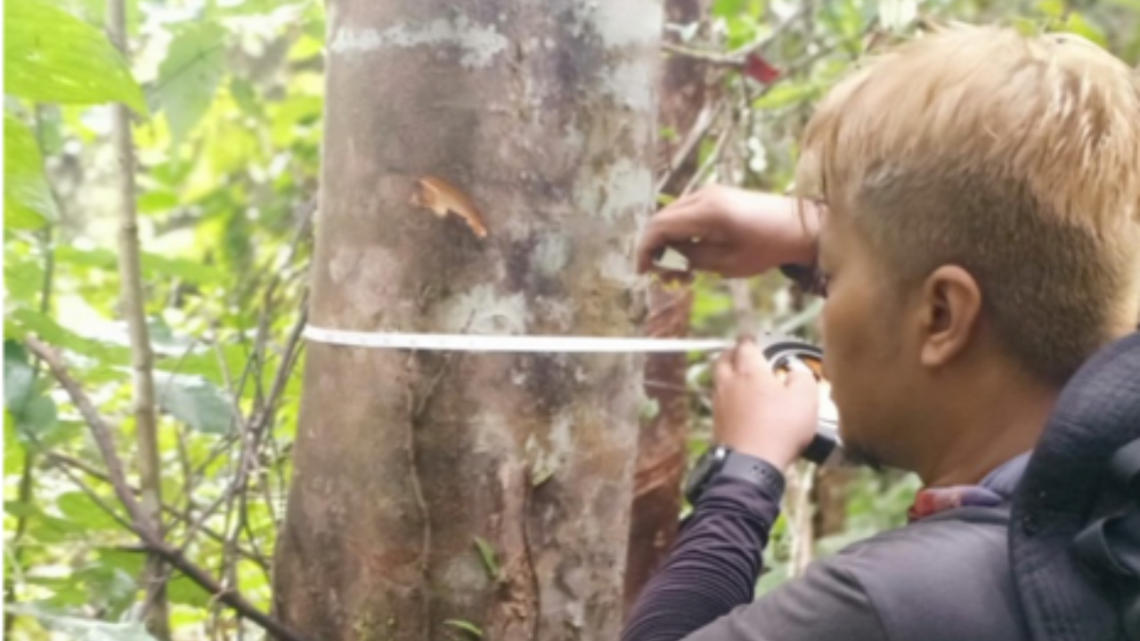 Kolaborasi Perkumpulan Wahana Mitra Mandiri, HCSA, dan JKPP Nasional dalam Penghitungan Karbon di Provinsi Jambi